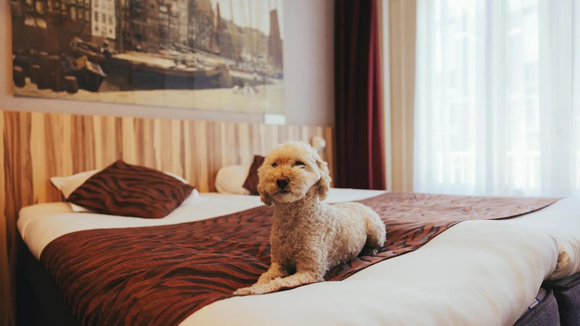 Hotel Asterisk, A Family Run Hotel Amsterdam Netherlands
